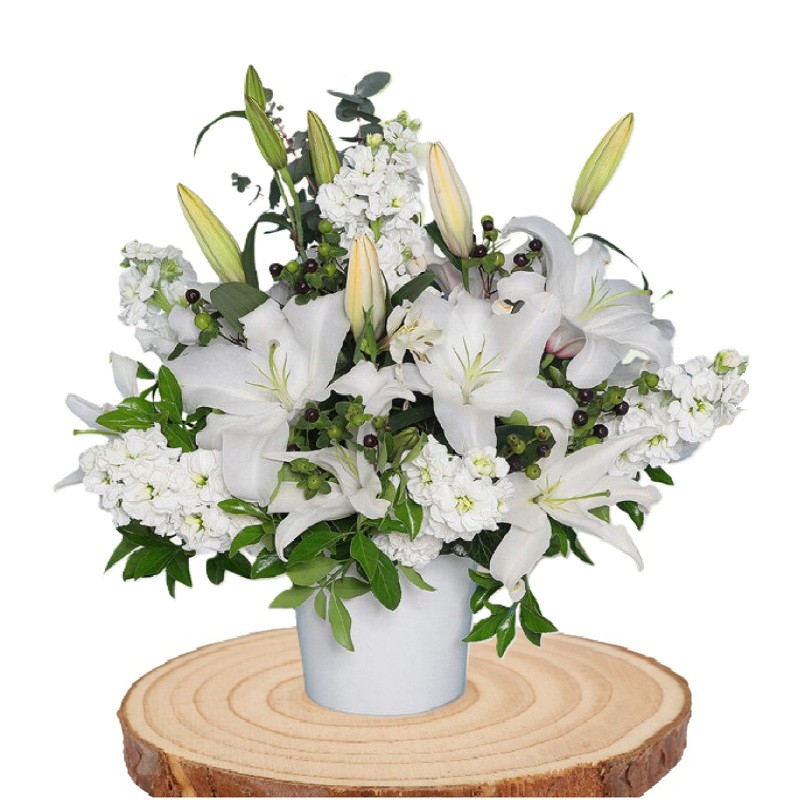 Mis Kokulu Lilyum ve Şebboylar